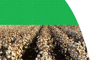 Ammonium Sulfate 2018