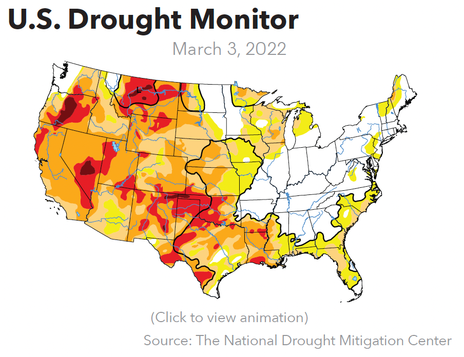 Crops/Weather Green Markets