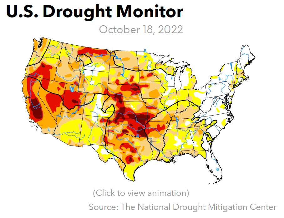 Crops/Weather Green Markets